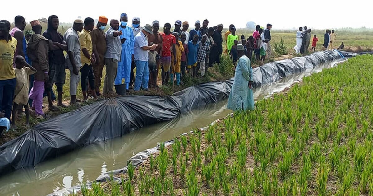 Nigerian integrated aquaculture trial increases health and wealth