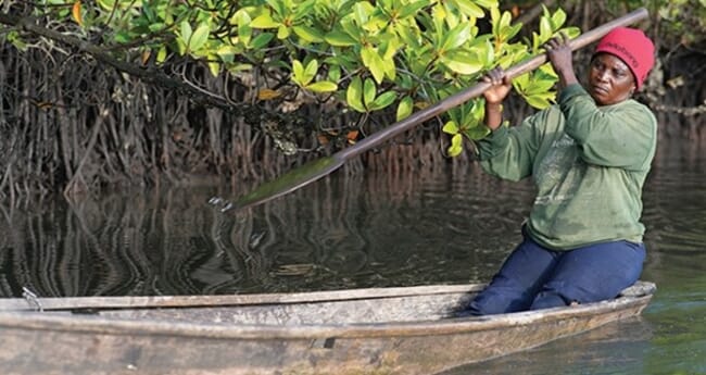 woman paddling a canoe in mangroves