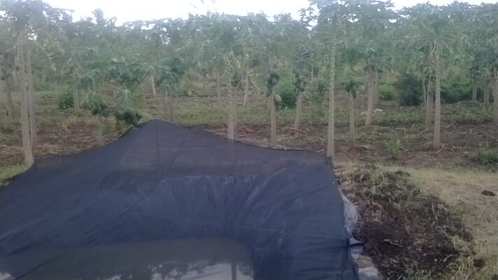 World Neighbors is encouraging the construction of affordable, small scale polythene-lined fish ponds