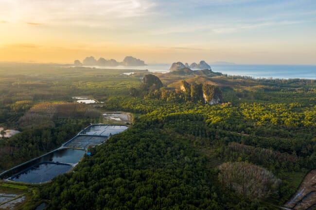 a veiw of mountains in Thailand with a krill farm in the foreground