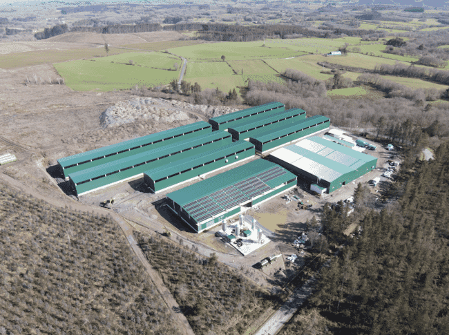 An aerial view of an insect farm.