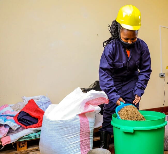 A woman processing alternative animal feeds.