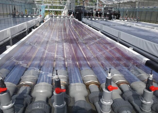 An indoor algae production facility