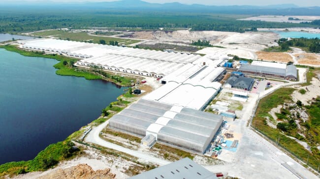 aerial view of polytunnels