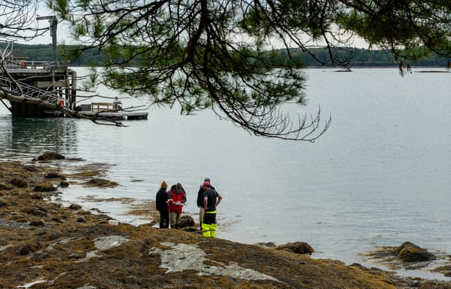 Researchers conducting fieldwork on the coast.