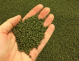 Alfalfa has many benefits over other crops commonly used in aquafeeds, including the fact that it fixes nitrogren from the atmosphere into the soil