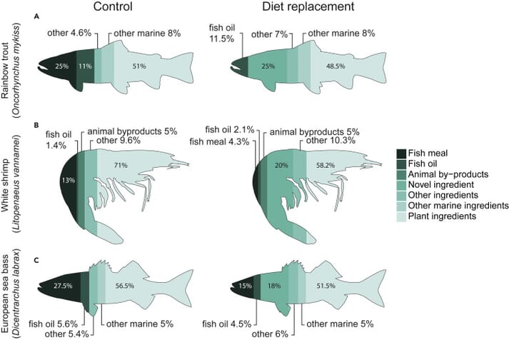 Case Studies of Fish Meal Replacement in the Diets for Fed-Aquaculture Species