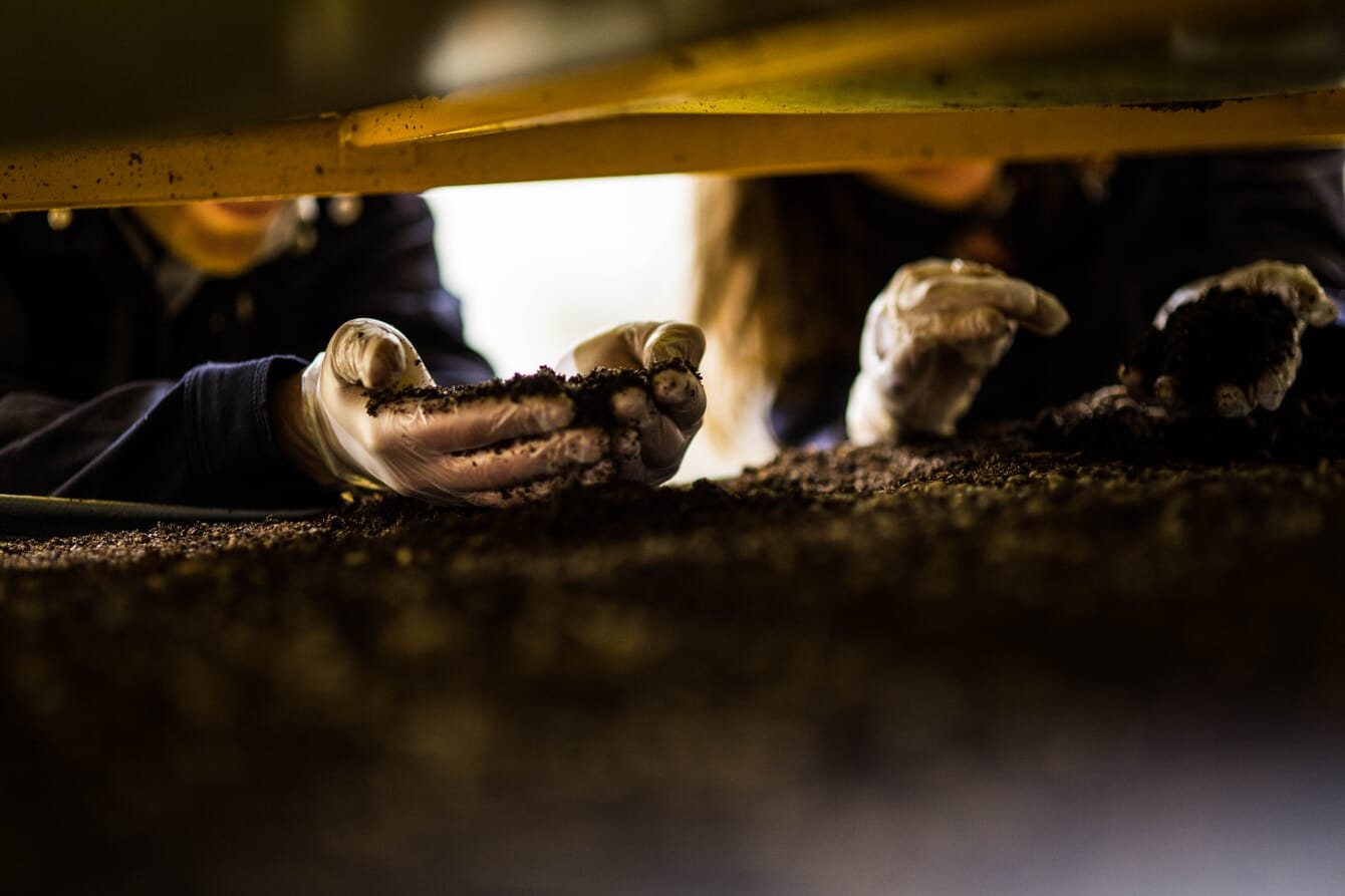 A group of factory workers insecting insect meal being produced in an insect factory in France.
