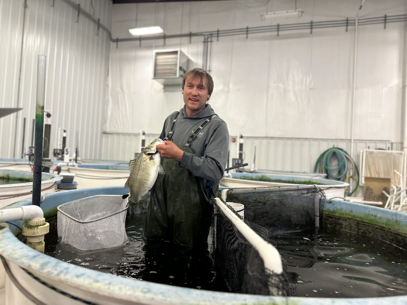 Man holding a fish standing in a tank