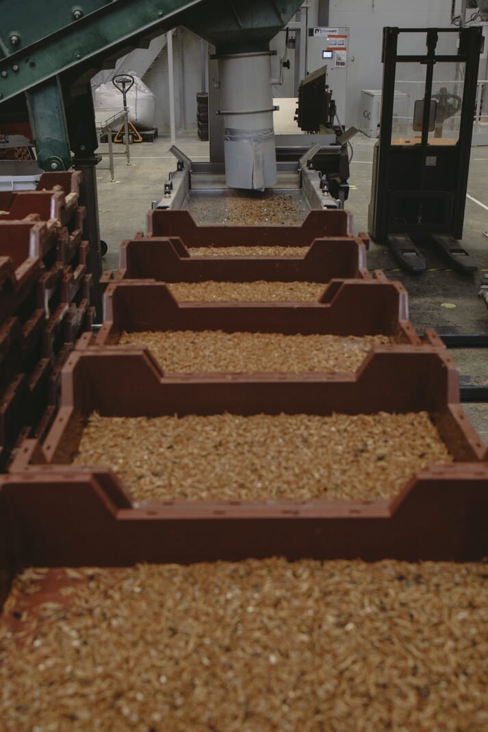 Ÿnsect's mealworm production facility