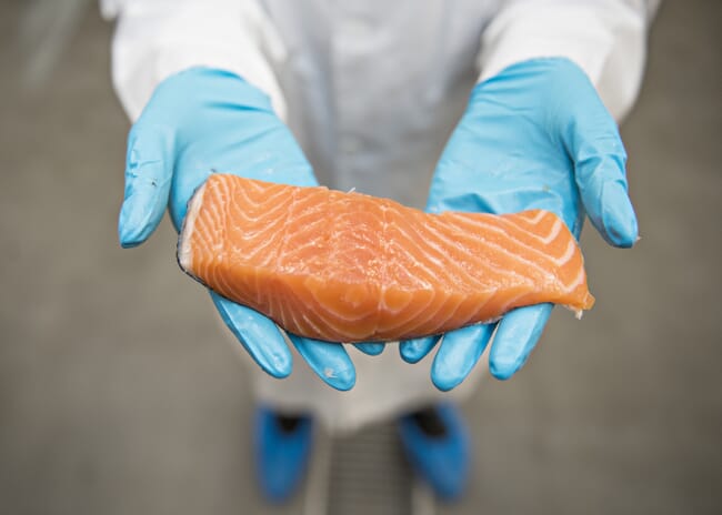 a salmon fillet in someone's hands