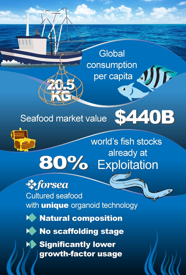 Infographic on the seafood market