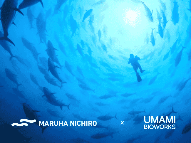 A diver swims in a school of fish