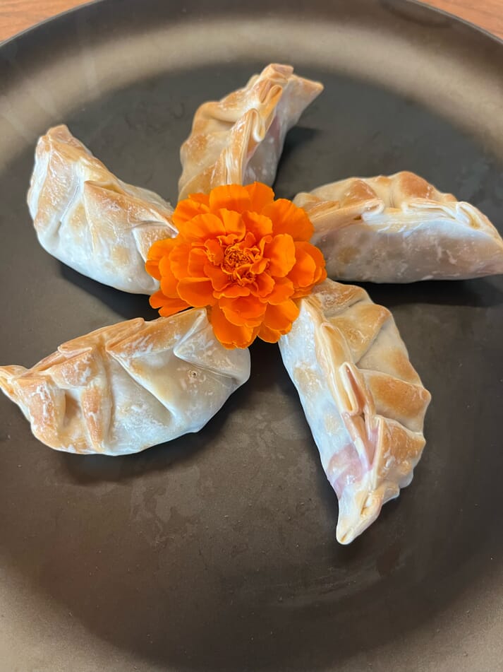 dumplings arranged on a plate