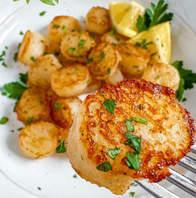 a plate of plant-based scallops