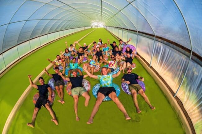 A group of people floating in a duckweed-filled polytunnel.