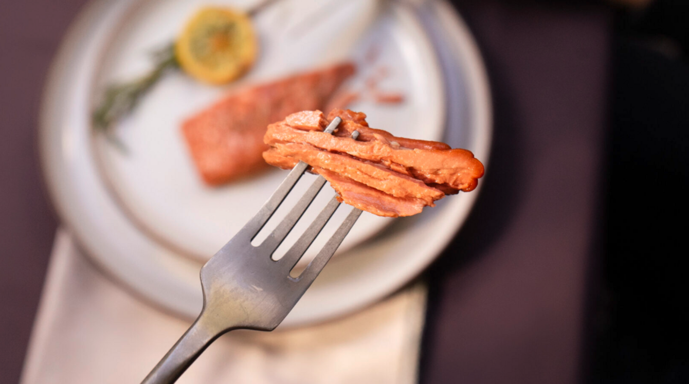 A piece of something that looks like salmon on a fork.