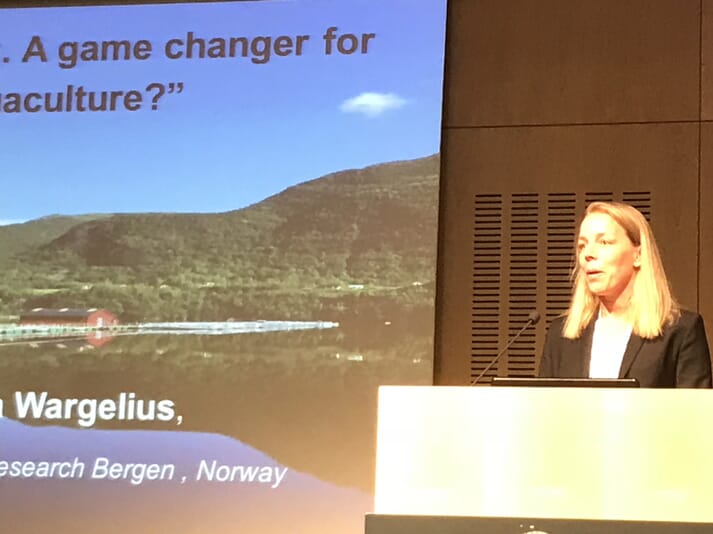 Anna Wargelius was the lead scientist in a Norwegian study into producing sterile Atlantic salmon