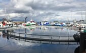 There was a huge array of vessels, as well as Aqualine’s latest generation of net pen, on show in Skansen Harbour thumbnail