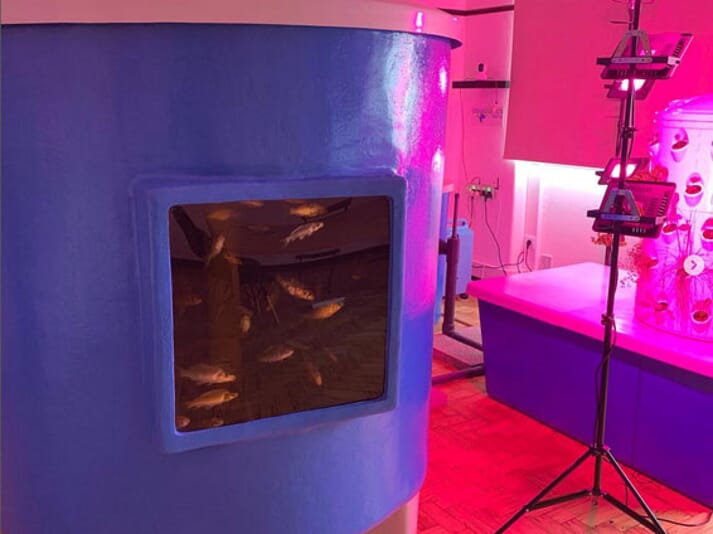 The aquaponics lab where the technologies are tested