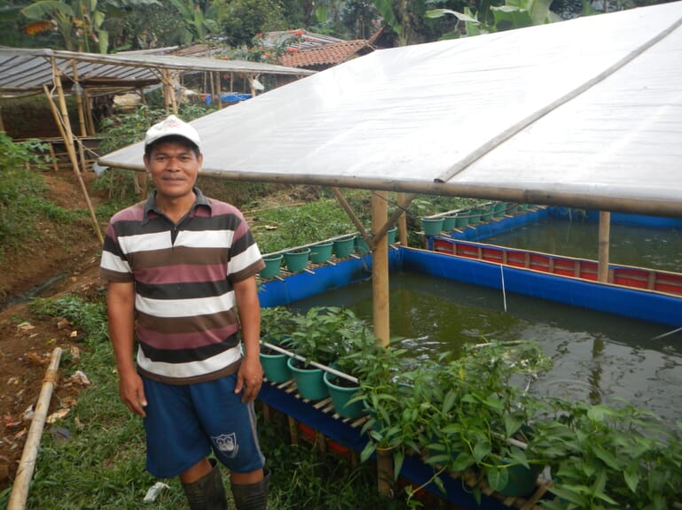 Aquaponics how often to feed fish Growing Bed Trays for Aquarium Aquaponics