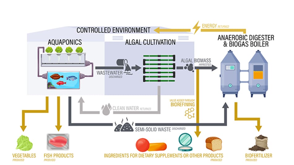Purdue receives 10 million aquaponics grant The Fish Site