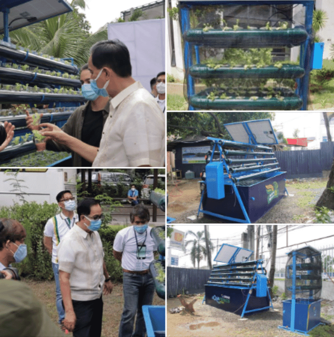 Aquaponic Philippines foddermoms