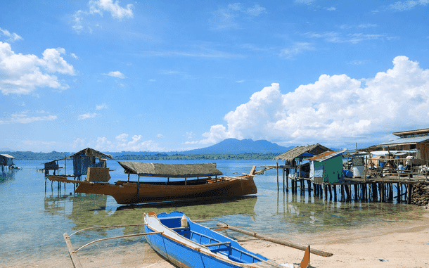 Using DNA to decode fish species in aquafeed | The Fish Site