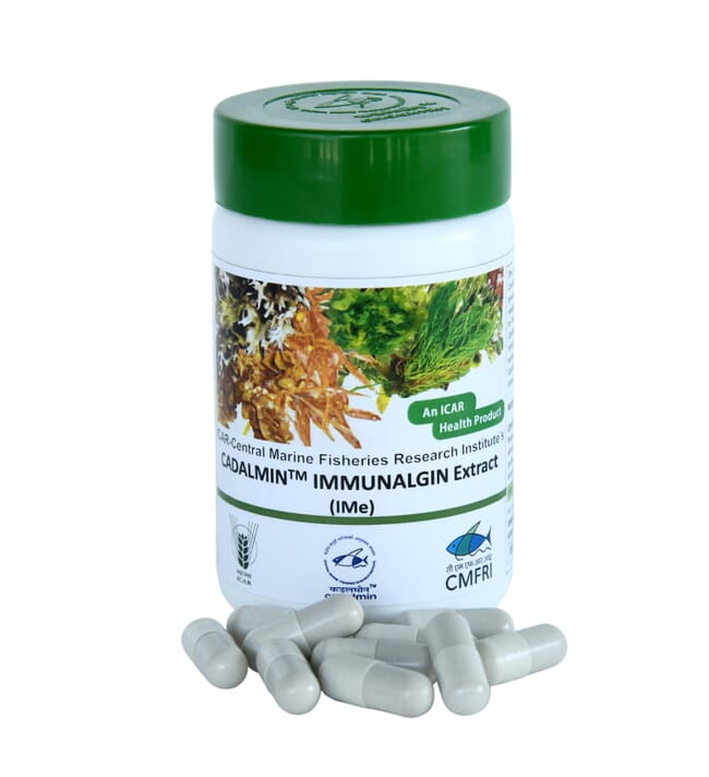 a jar of seaweed-based health supplements