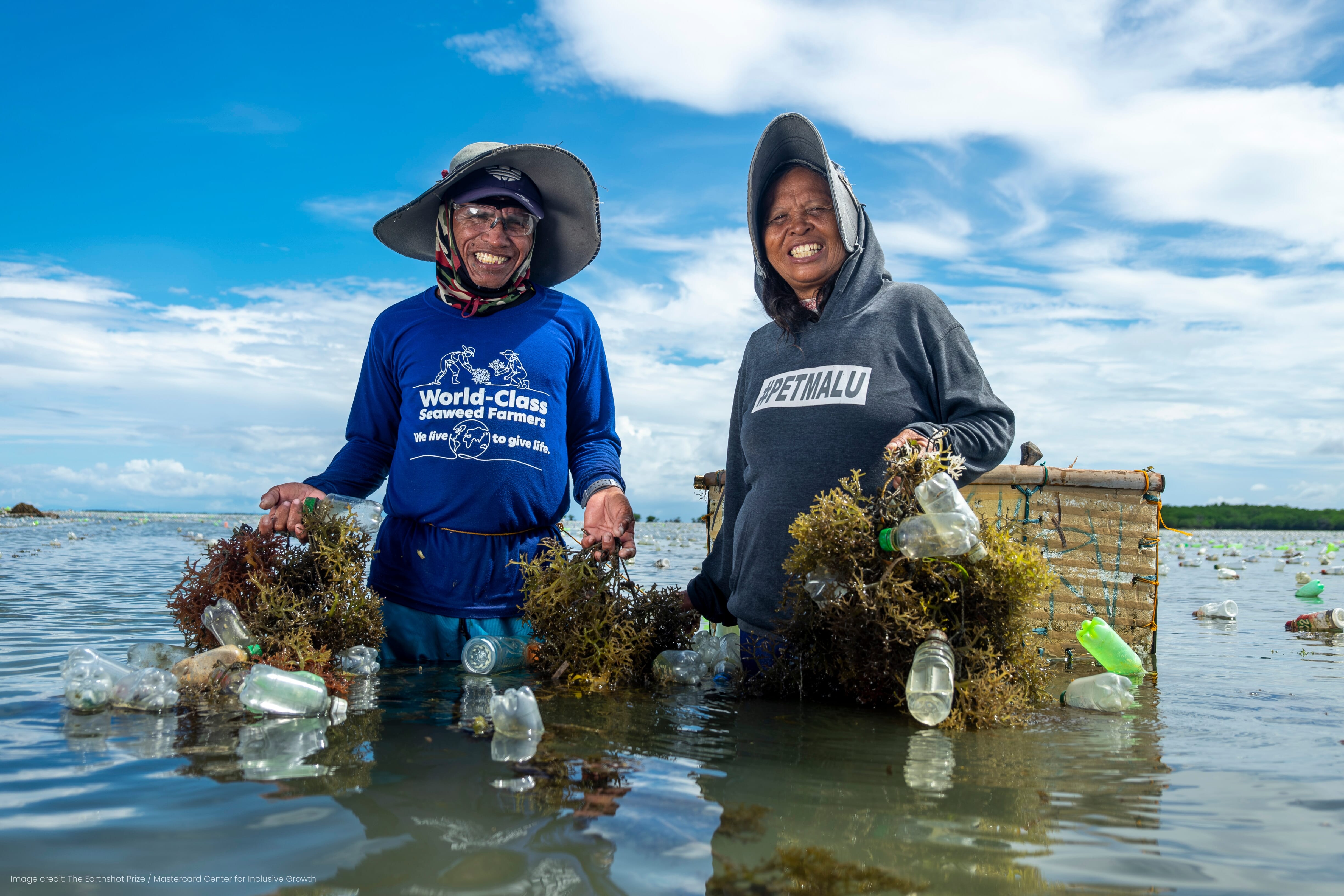 $2.5m boost for regenerative seaweed farming platform