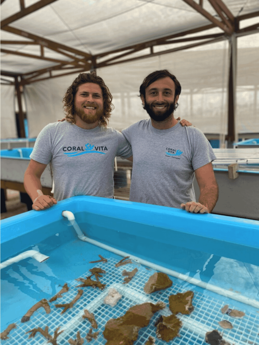 Funding windfall for tilapia and coral farms The Fish Site