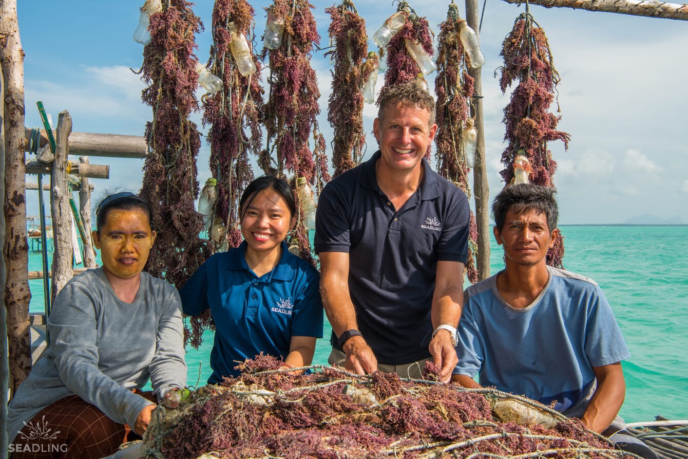 Four people with a pile of seaweed.