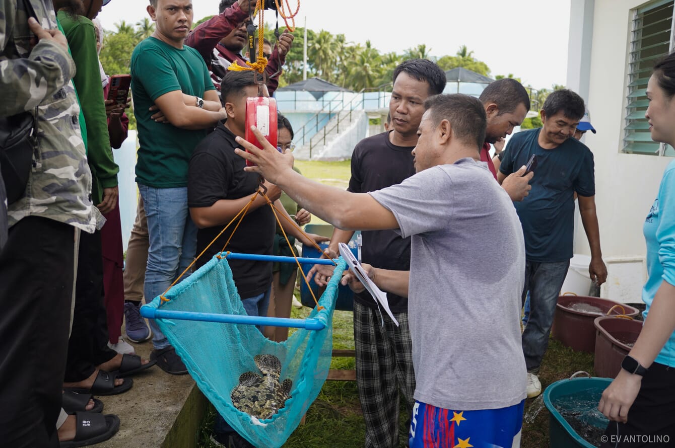 A group of people observing a fish.