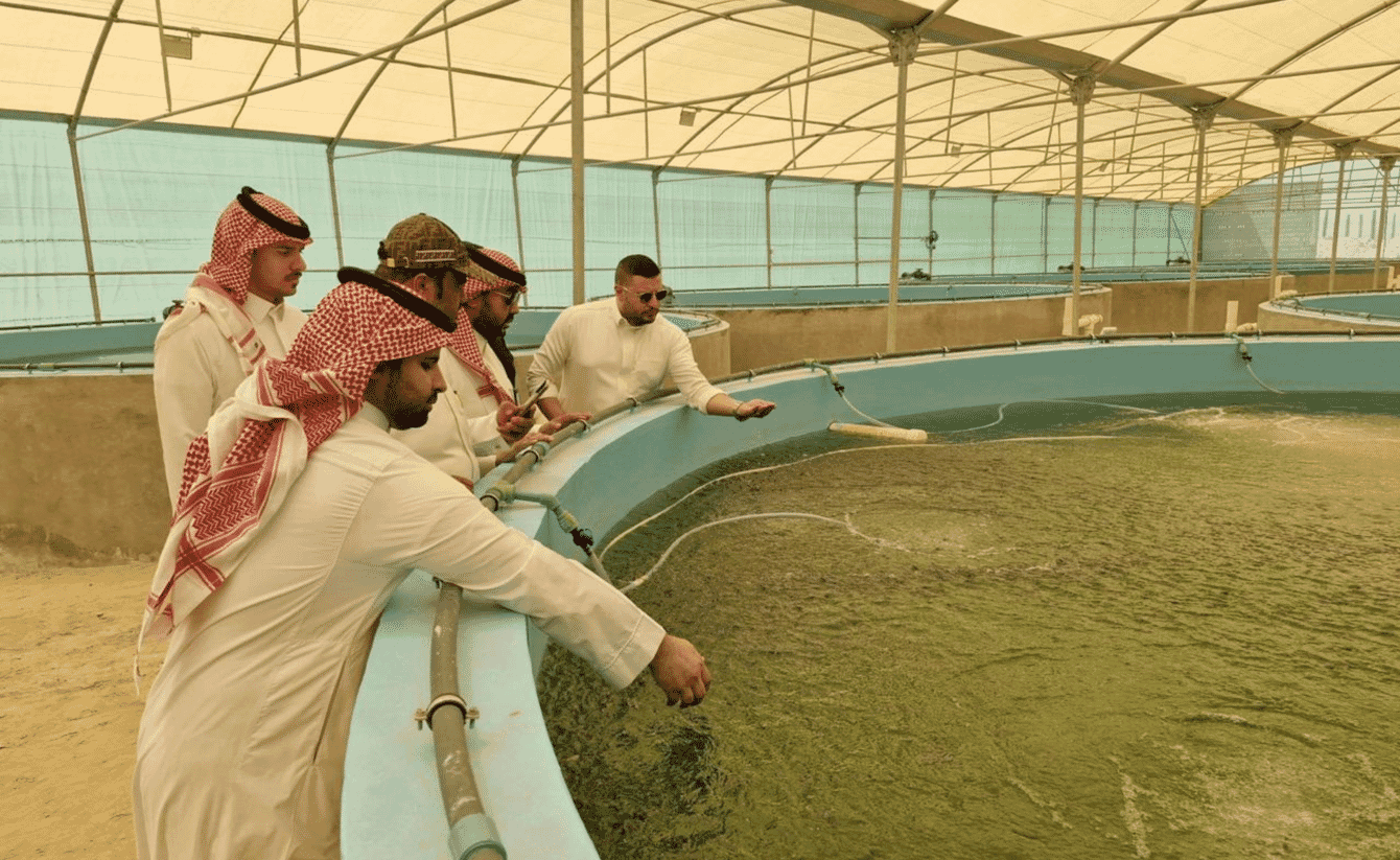 A group of people looking inside tanks in a fish farm.