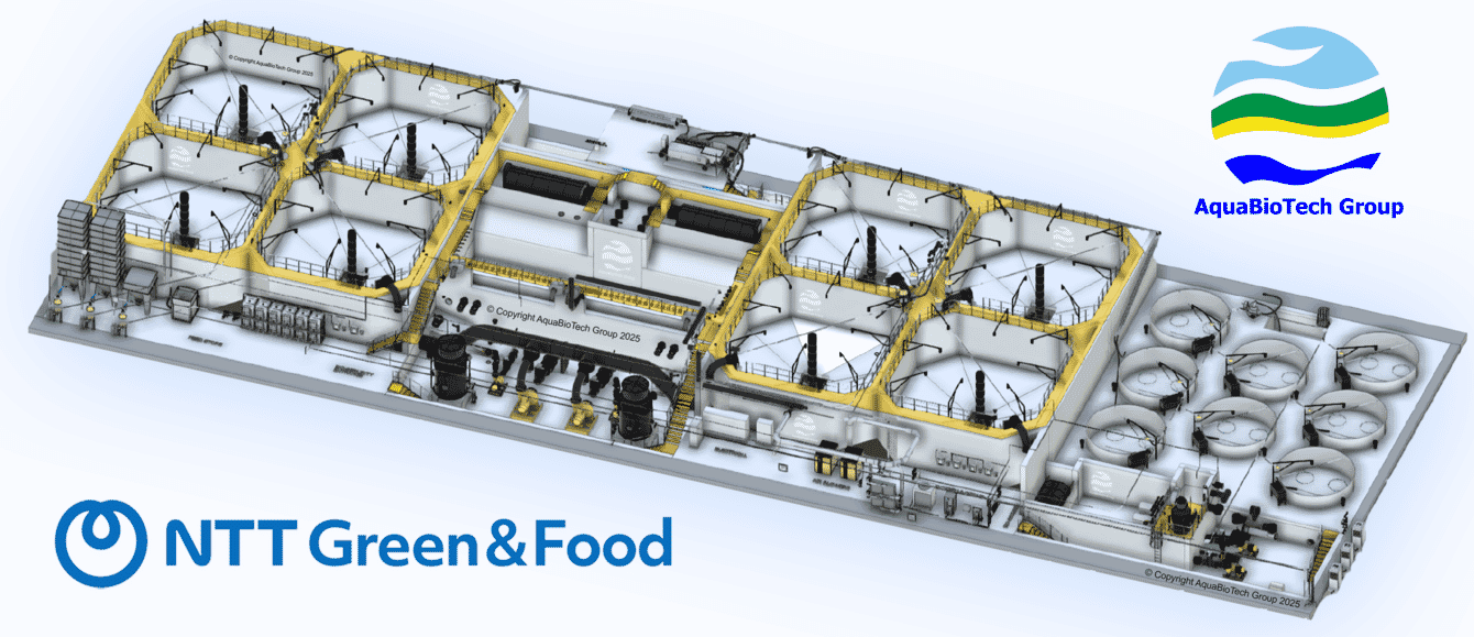 A graphic illustration of a RAS aquaculture facility in Japan.