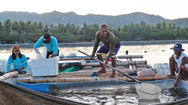 Researchers capturing tuna.