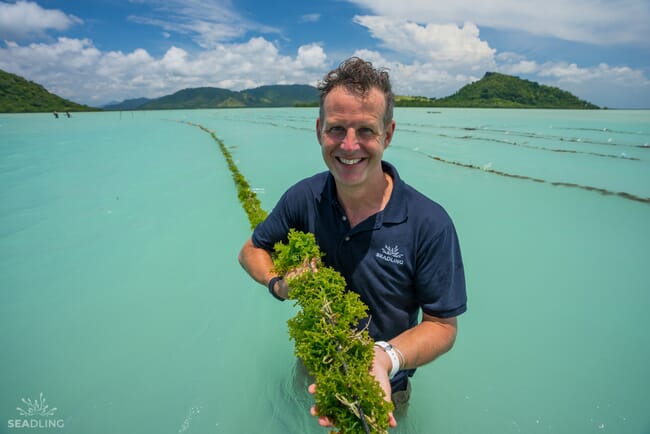 A man holding seaweed.