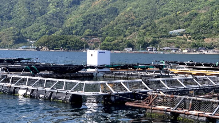 Umitron Cell has ben installed at one of Kura Sushi’s contracted farms in Uwajima City, Ehime ﻿Prefecture