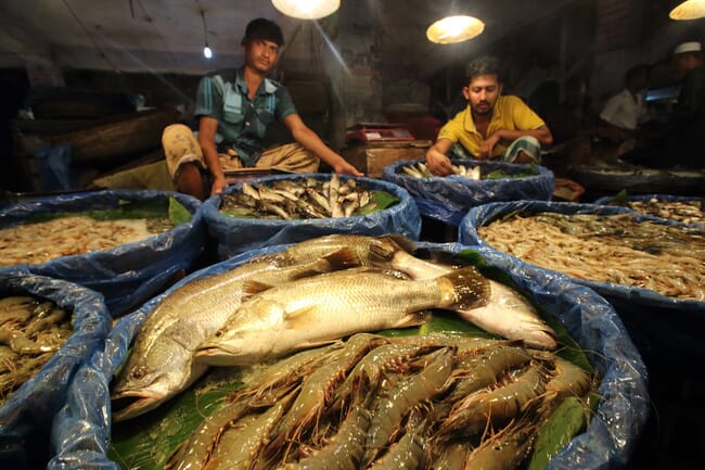 A wet fish market in Bangladesh.