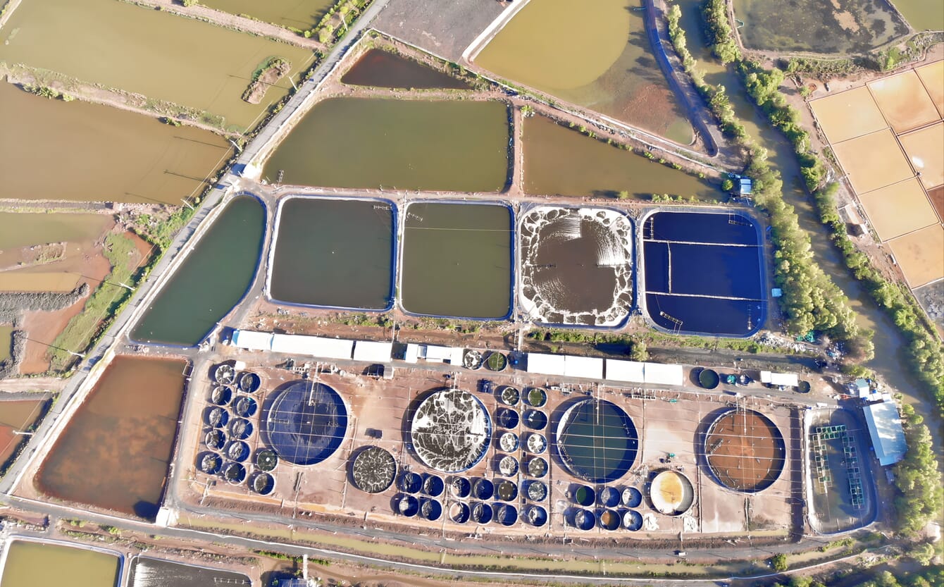 Aerial view of a shrimp farm