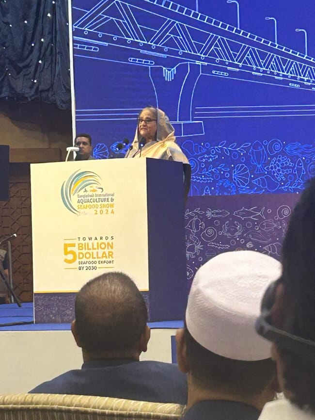 A woman speaking from a podium.