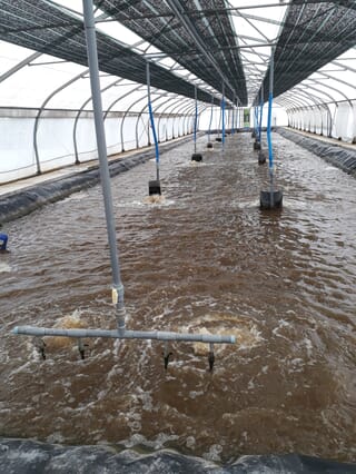 ADM launches new shrimp farming system | The Fish Site