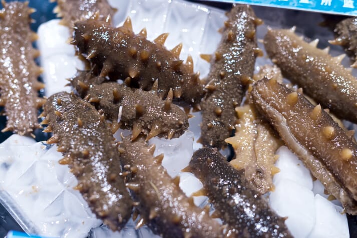 Dried sea cucumber can sell for US$400 per kg