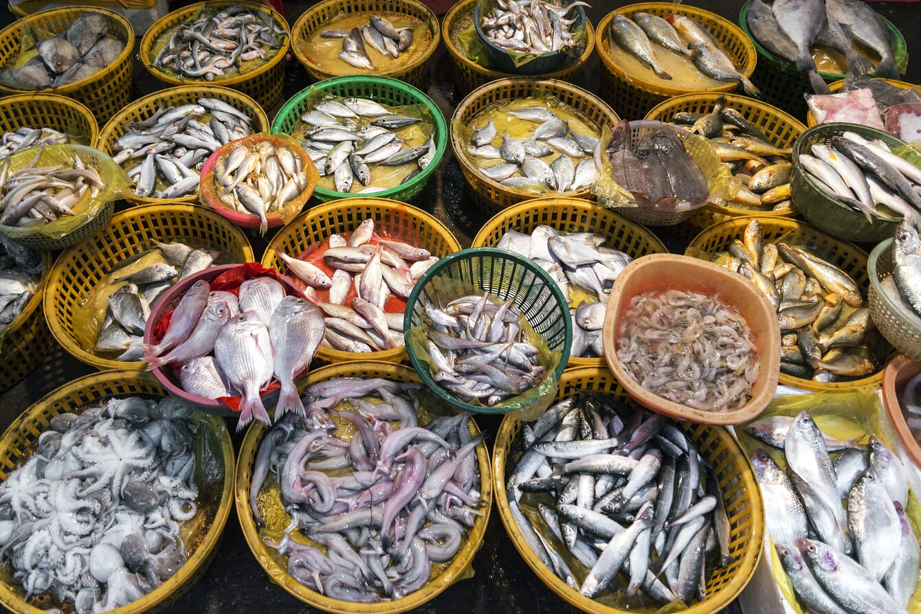 different fish species in baskets in a market