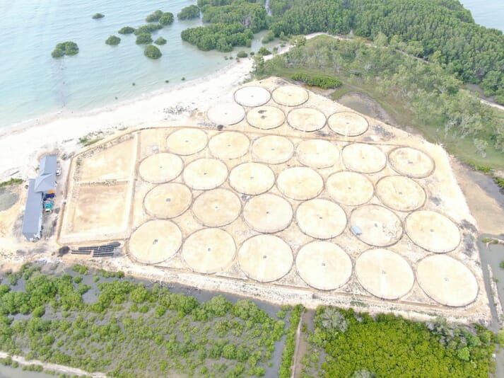 Some of Rizky Darmawan's latest circular shrimp ponds in Indonesia