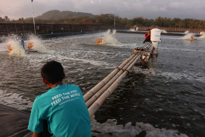 eFishery feeders at a shrimp farm in Subang, Indonesia