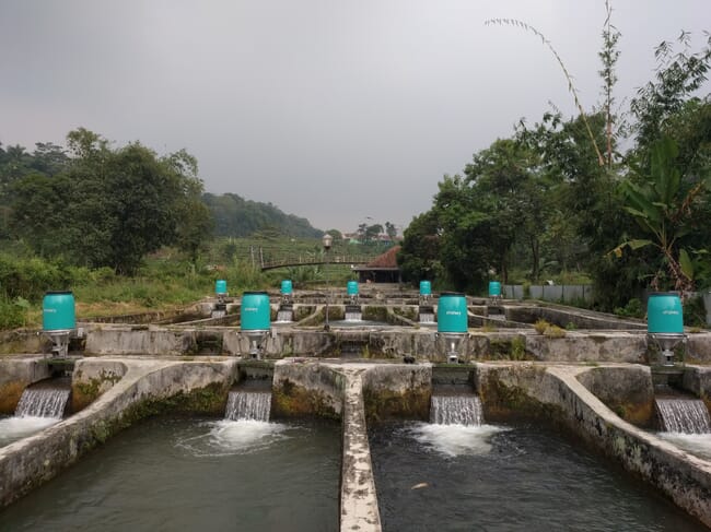 Concrete ponds with feeders installed