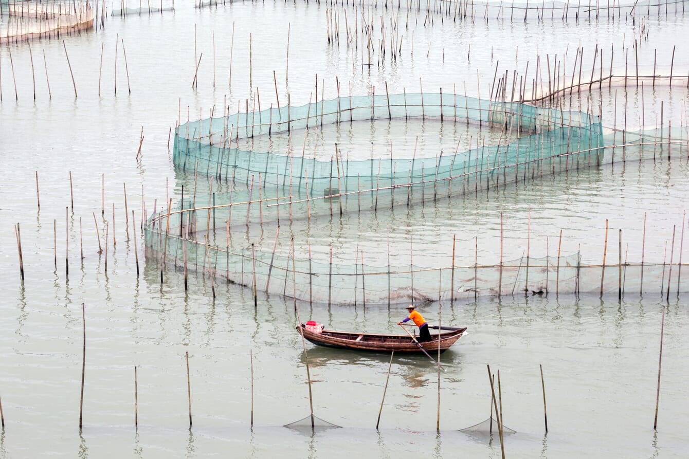 a person rowing a canoe in fish farm in China