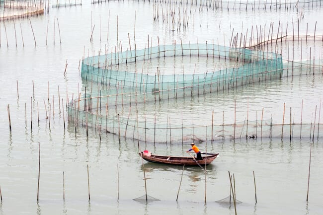 person rowing a boat through a fish farm