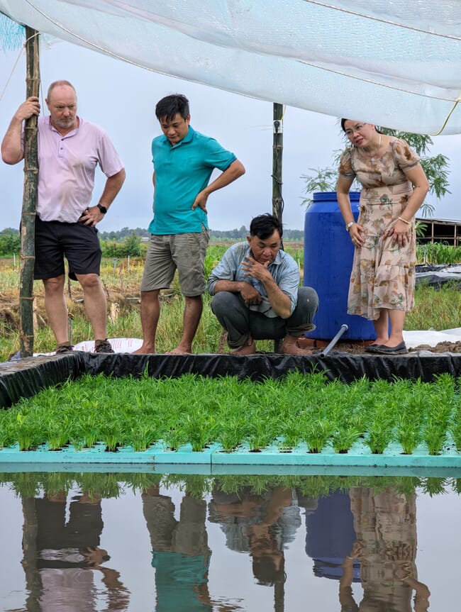 A hydroponic farming system in Tra Vinh province